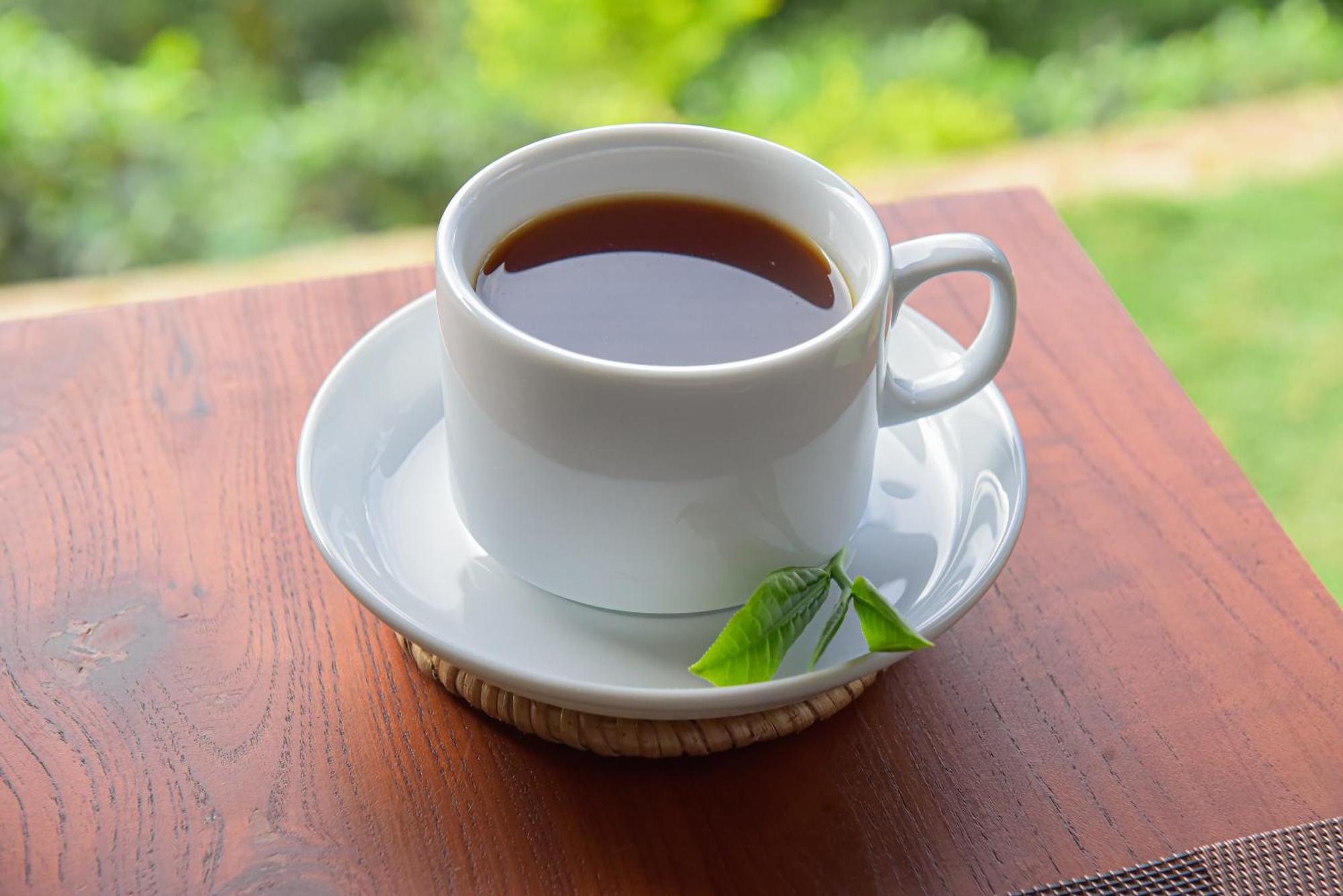 Tea Hills Ella Otel Dış mekan fotoğraf