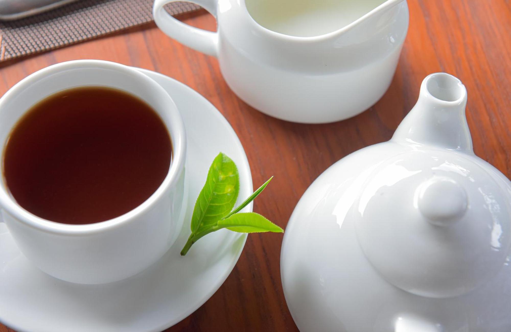Tea Hills Ella Otel Dış mekan fotoğraf