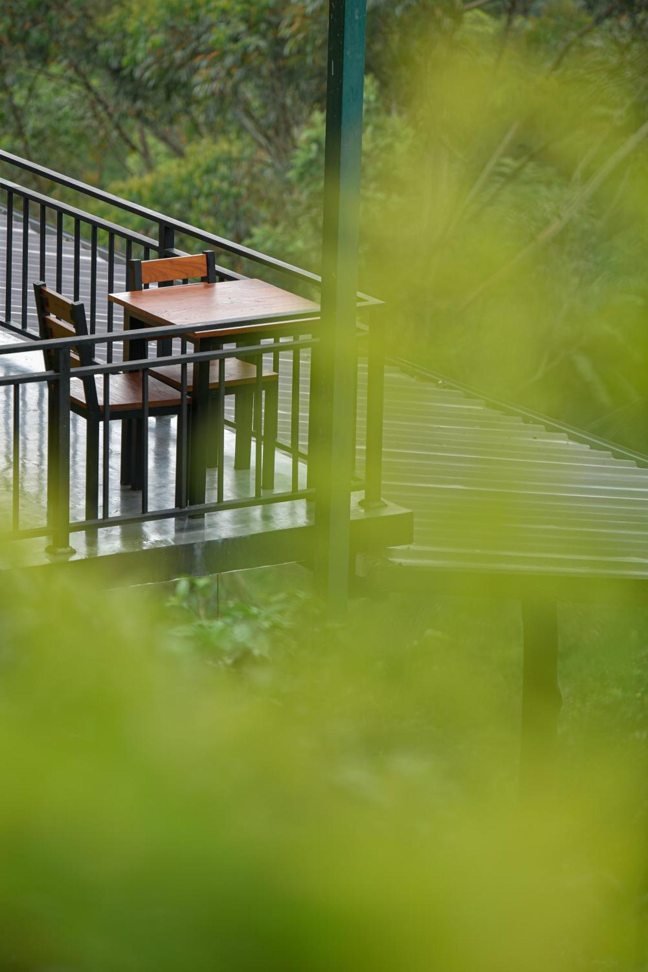 Tea Hills Ella Otel Dış mekan fotoğraf