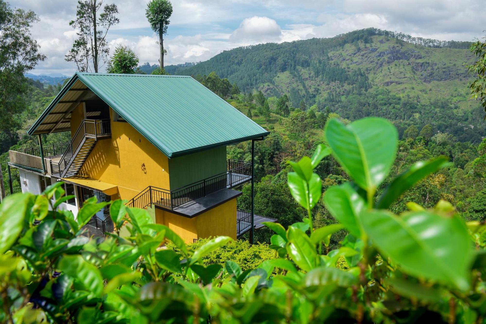 Tea Hills Ella Otel Dış mekan fotoğraf
