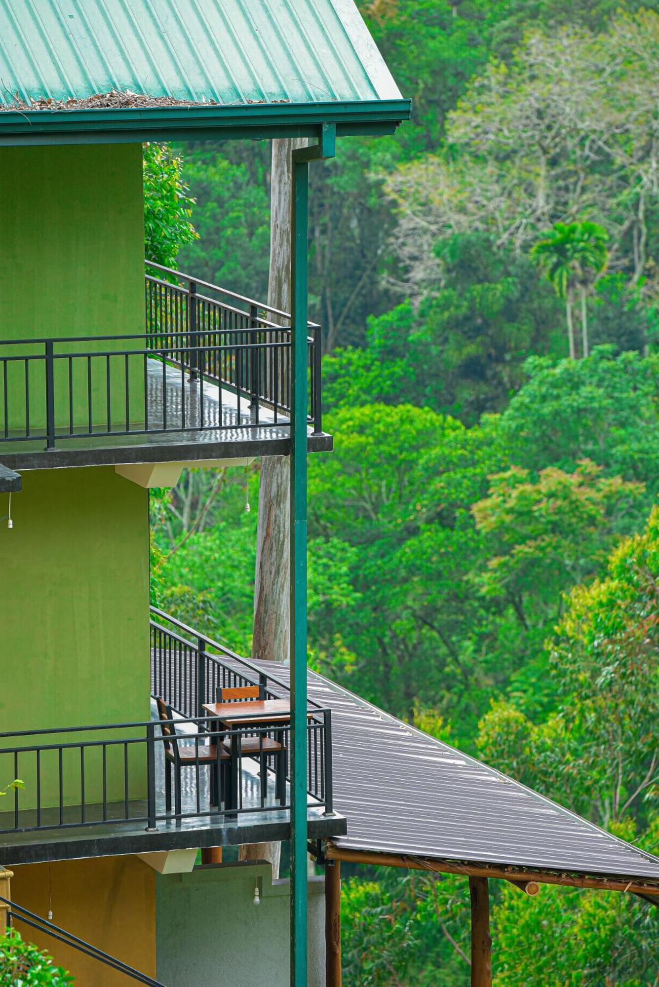 Tea Hills Ella Otel Dış mekan fotoğraf